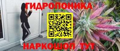mdma Дубна